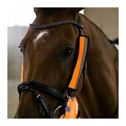 Reflective Bridle Cover  Horze Equestrian
